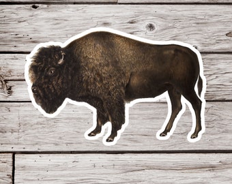 Bison Sticker, Buffalo Sticker, Natural History Sticker, Waterproof Sticker, Bison Gift, Animal Sticker, Wildlife Sticker, Nature Sticker