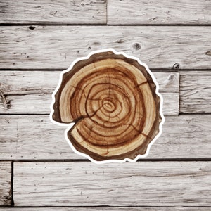 May include: A sticker featuring a watercolor illustration of a tree cross-section. The design showcases concentric rings in shades of brown, with a white border. The sticker is placed on a weathered, light gray wooden background.