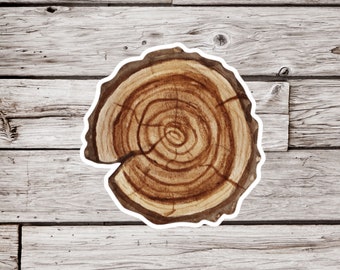 Tree Slice Sticker, Tree Sticker, Stump Sticker, Forest Sticker, Pine Tree Sticker, Waterproof Sticker, Woodland Sticker