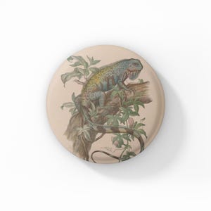 May include: A round, beige decorative plate featuring a detailed illustration of an iguana perched on a tree branch with green foliage. The iguana is primarily blue and yellow, with a striped tail.