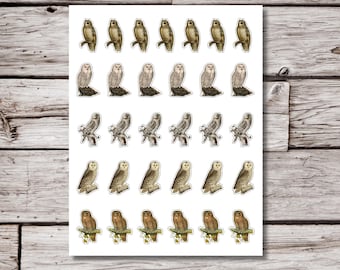 Owl Stickers, Bird Sticker Sheet, 8.5x11" Sticker Sheet, Owl Sticker, Packing Stickers, Journal Sticker, Planner Stickers