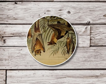 Bat Sticker, Natural History Sticker, Animal Sticker, Science Sticker, Vintage Bat Sticker, Wildlife Sticker, Nature Sticker