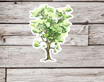 Hawthorn Tree Sticker, Hawthorn Sticker, Tree Sticker, Waterproof Sticker, May Tree Sticker, Quickthorn Sticker, Thornapple Sticker