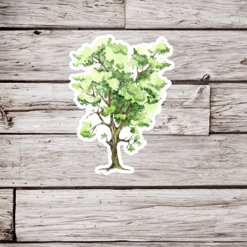 Hawthorn Tree Sticker, Hawthorn Sticker, Tree Sticker, Waterproof Sticker, May Tree Sticker, Quickthorn Sticker, Thornapple Sticker