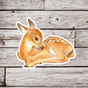 Fawn Sticker, Deer Sticker, Animal Sticker, Waterproof Sticker, Watercolor Sticker, Nature Sticker