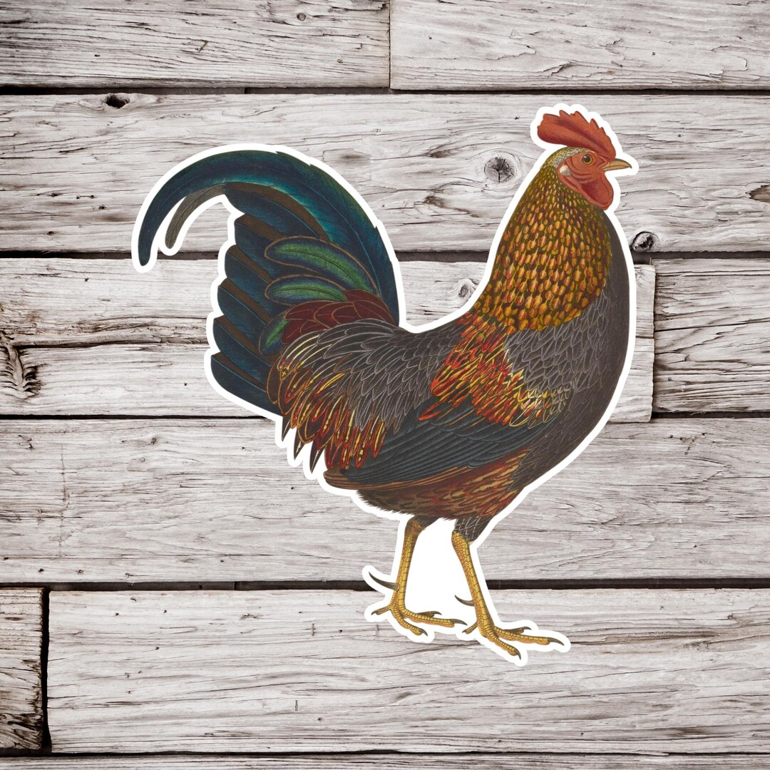 Rooster Sticker, Chicken Sticker, Bird Sticker, Farm Animal Sticker ...
