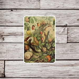 Snail Forest Sticker, Snail Sticker, Forest Sticker, Vintage Snail Sticker, Gastropod Sticker, Waterproof Sticker