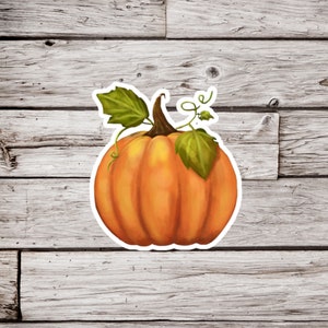 Pumpkin Sticker, Squash Sticker, Gourd Sticker, Garden Sticker, Fall Sticker, Autumn Sticker, Halloween Sticker, Thanksgiving Sticker
