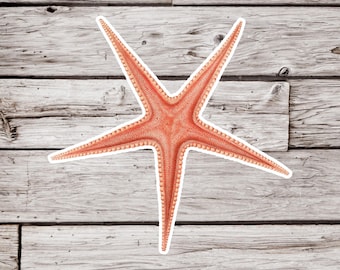Starfish Sticker, Sea Star Sticker, Shell Sticker, Tide Pool Sticker, Ocean Sticker, Beach Sticker, Waterproof Sticker, Natural History