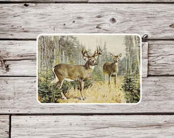 White Tail Deer Sticker or Magnet, Deer Sticker, Deer Magnet, Buck Sticker, White Tail Deer, Animal Sticker, Waterproof Sticker,