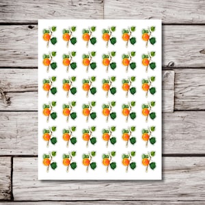 Apricot Stickers, Apricot Sticker Sheet, 8.5x11&quot; Sticker Sheet, Fruit Sticker, Packing Stickers, Journal Sticker, Planner Stickers