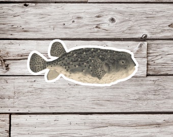 May include: A black and white illustration of a pufferfish with a spotted pattern. The fish is swimming to the right.