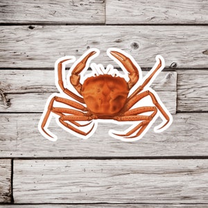 Crab Sticker, Crustacean Sticker, Ocean Sticker, Beach Sticker, Waterproof Sticker, Red Crab Sticker