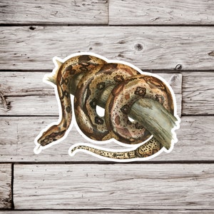Boa Constrictor Sticker, Boa Snake Sticker, Snake Sticker, Waterproof Sticker, Reptile Sticker, Wildlife Sticker