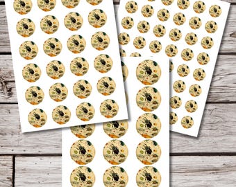Beetle Sticker Sheet, Natural History Insect Stickers for Journals & Planners, Envelope Seals, Entomology Gift, Bug Stationery