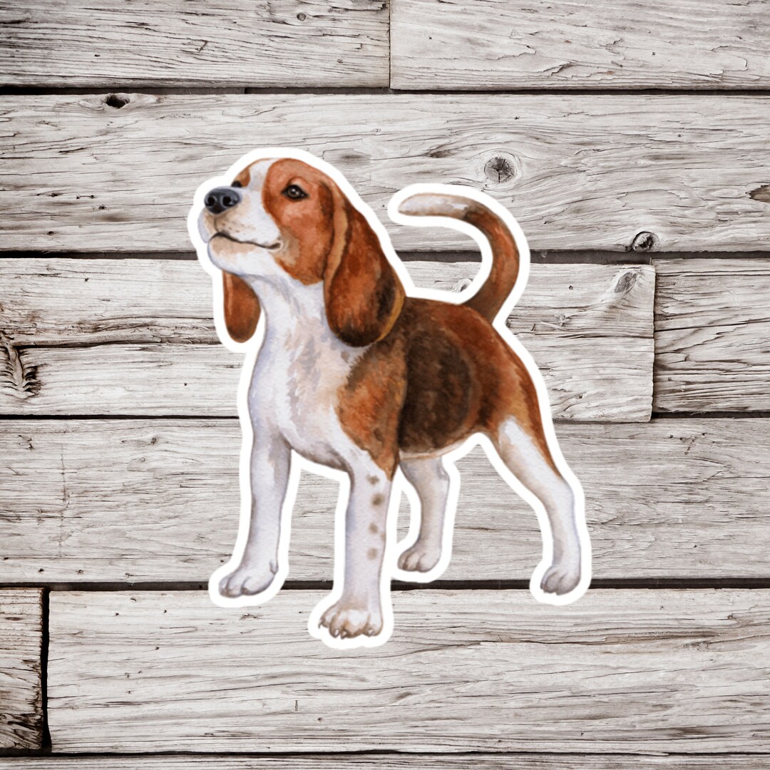 Beagle Sticker or Magnet, Beagle Sticker, Beagle Magnet, Puppy Sticker ...
