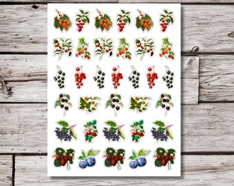 May include: A sheet of stickers featuring watercolor illustrations of various berries, including red, black, and blue varieties. The stickers have a white border and are arranged on a white background. The berries are depicted with green leaves and stems.