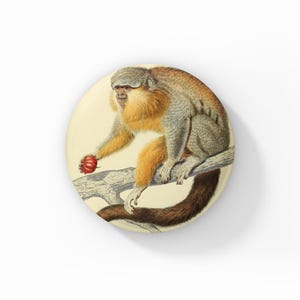 May include: A round button featuring a vintage illustration of a monkey with orange and gray fur, holding a red fruit while perched on a tree branch. The background is a cream color.