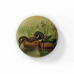 May include: A vintage illustration of two wood ducks swimming in a pond with green reeds and purple flowers in the background.