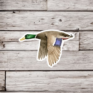 Mallard Sticker, Male Mallard Duck Sticker, Duck Sticker, Bird Sticker, Waterproof Sticker, Wildlife Sticker, Nature Sticker