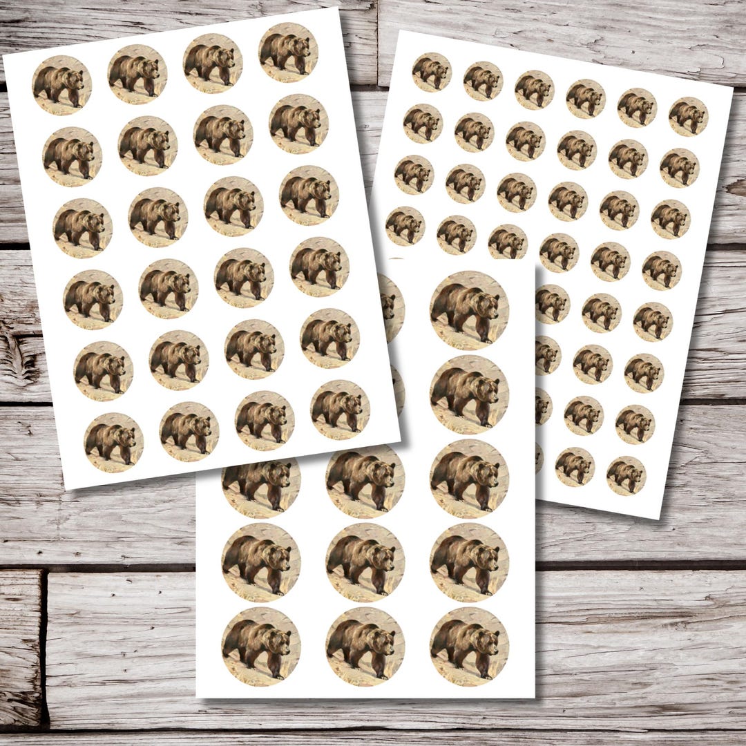 Bear Sticker Sheet, Natural History Bear Stickers for Journals ...