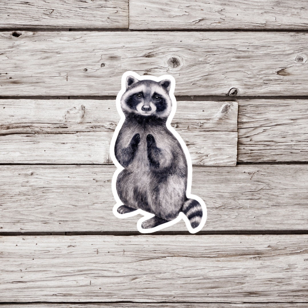 Raccoon Sticker, Animal Sticker, Waterproof Sticker, Wildlife Sticker ...