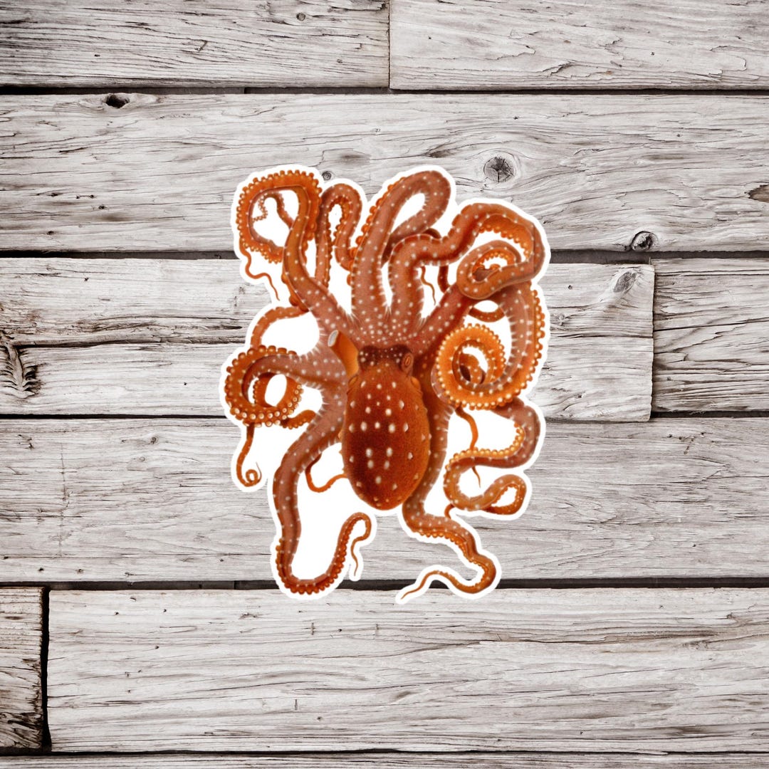 Octopus Sticker, Vintage Octopus Sticker, Waterproof Sticker, Squid ...