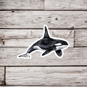 Orca Whale Sticker, Orca Sticker, Whale Sticker, Killer Whale Sticker, Waterproof Sticker, Ocean Sticker, Beach Sticker