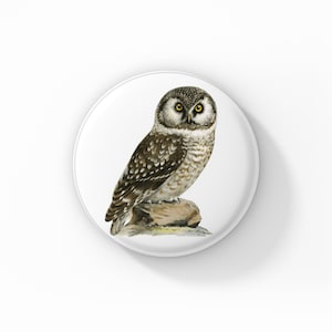 May include: A brown and white owl with yellow eyes perched on a rock. The owl is facing the camera and has a serious expression.