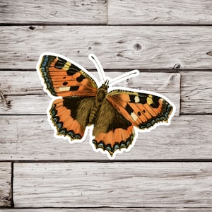 Butterfly Sticker, Lepidoptery Sticker, Moth Sticker, Vintage Butterfly Sticker, Insect Sticker, Natural History Sticker
