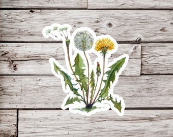May include: A watercolor painting of a dandelion plant with three flowers. One flower is yellow, one is white and fluffy, and the third is a bud. The plant has green leaves and stems.