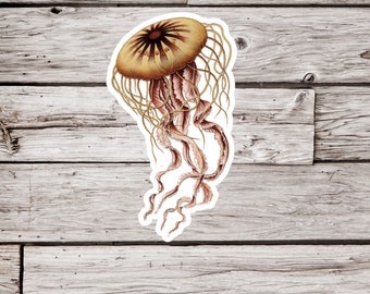 Jellyfish Sticker, Ocean Sticker, Nature Sticker, Waterproof Sticker, Beach Sticker, Natural History Sticker