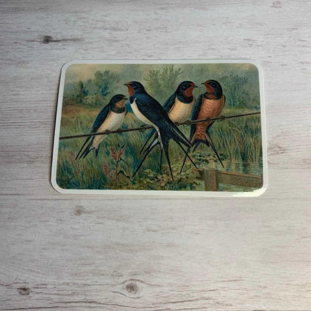 Barn Swallow Sticker or Swallow Bird Sticker Etsy