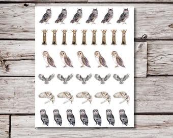 Owl Stickers, Bird Sticker Sheet, 8.5x11" Sticker Sheet, Owl Sticker, Packing Stickers, Journal Sticker, Planner Stickers