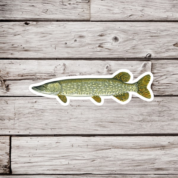 Northern Pike Sticker or Magnet, Northern Pike Magnet, Waterproof Sticker, Northern Sticker, Pike Sticker, Fish Sticker, Northern Magnet