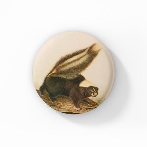 May include: A vintage illustration of a skunk with black fur and a white stripe down its back. The skunk is standing on a log with its tail raised.