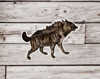 May include: A striped hyena with brown and black fur, standing on a wooden background.