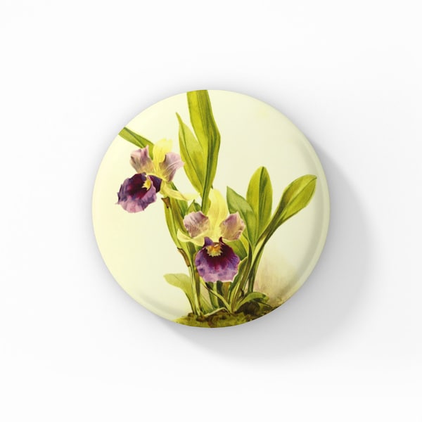 Zygopetalum Orchid Flower Pin, Orchid Pin Back Button, Floral Pin, Natural History Pin, Vintage Botanical Print Pin, Wildflower Pin