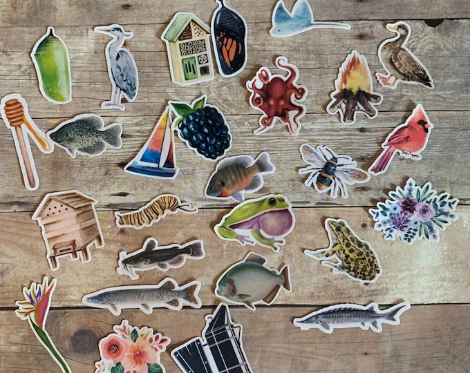 Mystery Mini Sticker Pack, Random Sticker Pack, Assorted Small Sticker ...