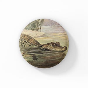 May include: Round button featuring a vintage illustration of an alligator swimming in water. The alligator is brown and green, with a detailed texture. The background shows a riverbank and vegetation, with a soft, watercolor style.