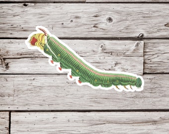 Caterpillar Sticker, Vintage Caterpillar Sticker, Lepidoptery Sticker, Insect Sticker, Bug Sticker, Butterfly Sticker, Moth Sticker