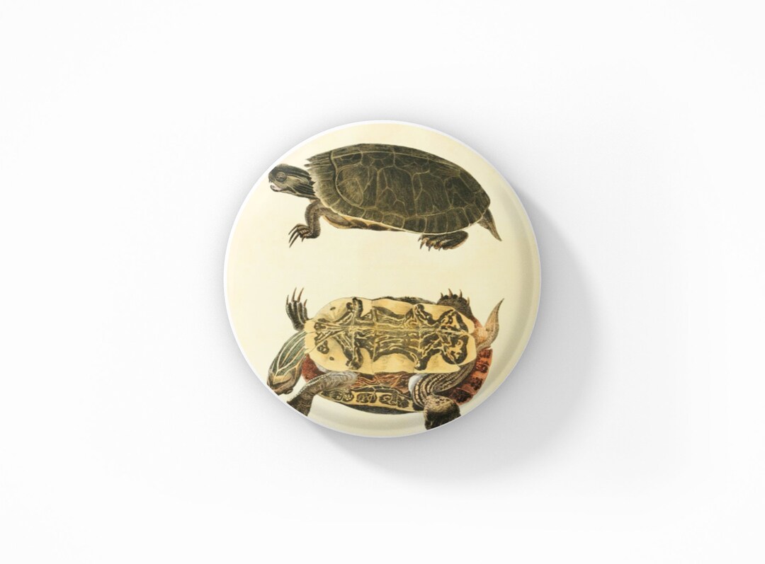Painted Turtle Pin, Painted Turtle Pin Back, Turtle Pin, Vintage ...