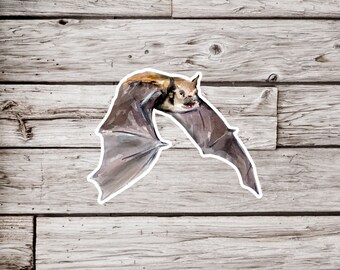 Bat Sticker, Watercolor Bat Sticker, Animal Sticker, Waterproof Sticker, Wildlife Sticker, Nature Sticker, Mammal Sticker
