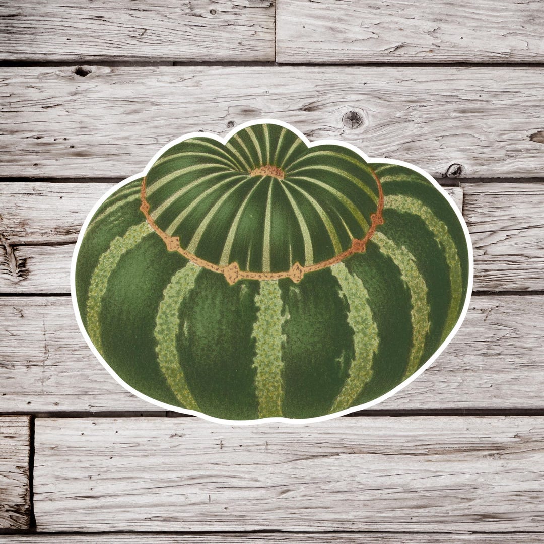 Squash Sticker, Winter Squash Sticker, Fall Sticker, Autumn Sticker ...