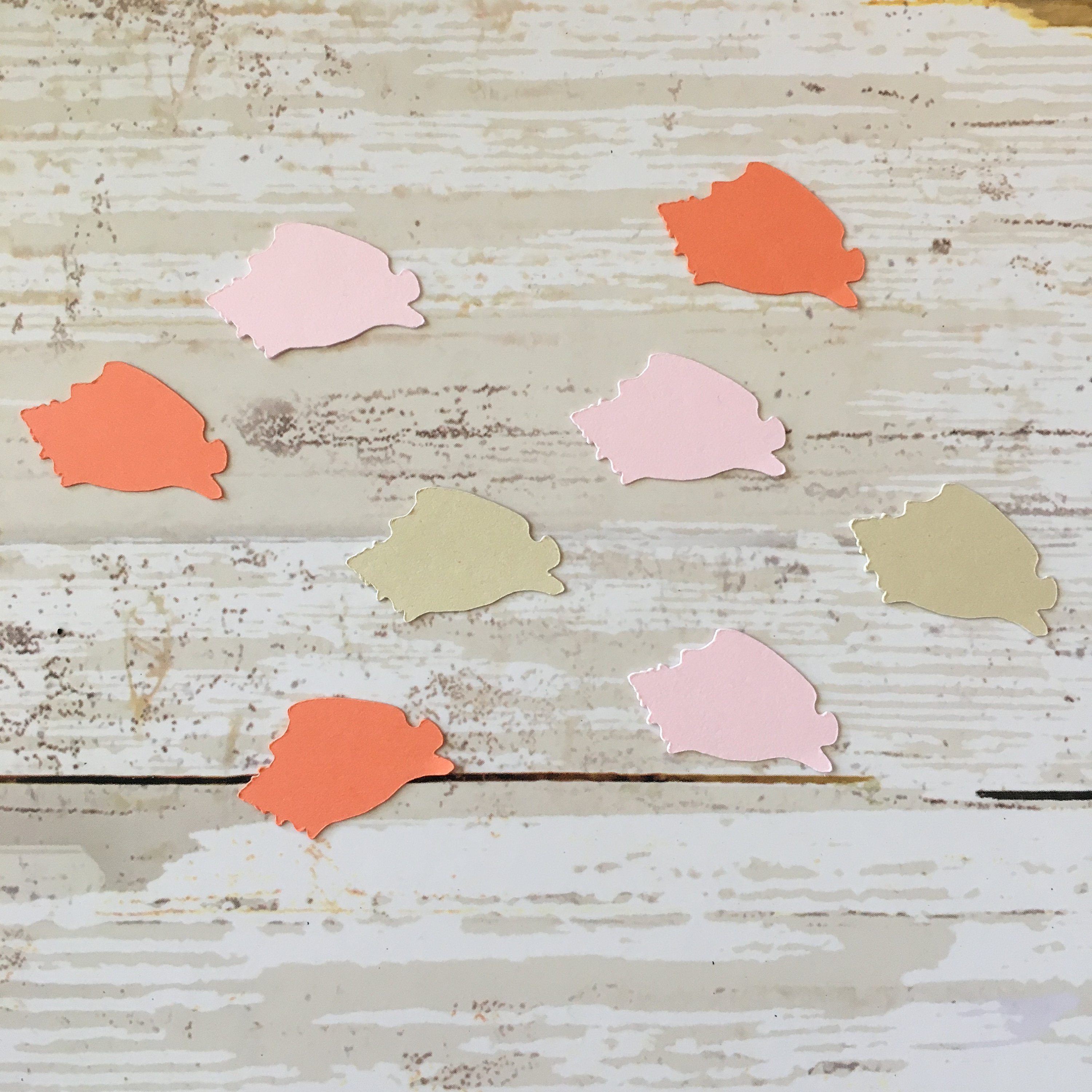 Conch Shell Confetti Conch Cut Out Shell Confetti Shell Cut Out Shell Decoration Ocean Confetti Beach Confetti Beach Theme