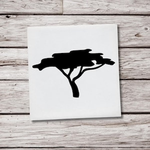 Acacia Tree Decal, Acacia Tree Vinyl Decal, Acacia Tree Sticker, Tree Sticker, Tree Decal, Car Decal, Water Bottle Decal