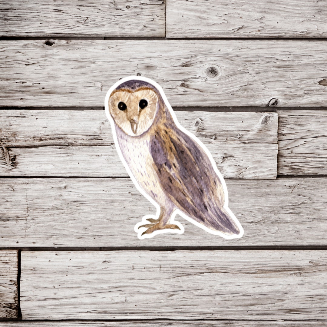 Owl Sticker, Barn Owl Sticker, Waterproof Sticker, Bird Sticker ...