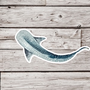 Whale Shark Sticker, Shark Sticker, Whale Sticker, Waterproof Sticker, Animal Sticker, Ocean Sticker, Beach Sticker, Wildlife Sticker
