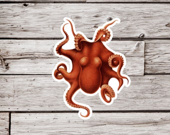 Octopus Sticker, Vintage Octopus Sticker, Waterproof Sticker, Squid Sticker, Ocean Sticker, Beach Sticker, Natural History Sticker