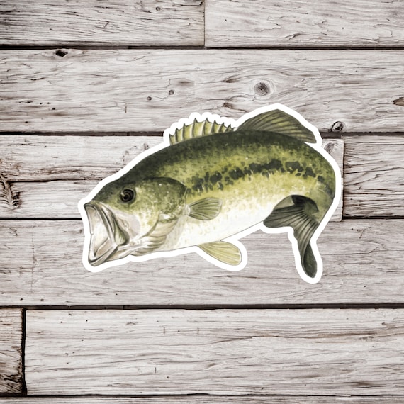 Bass Sticker or Magnet, Bass Magnet, Fish Sticker, Fisherman Sticker, Fish  Magnet, Fishing Sticker, Waterproof Sticker, Fridge Magnet 